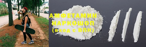 индика Ростов
