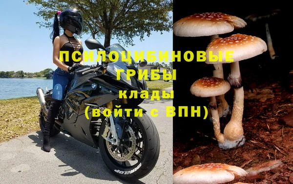 MESCALINE Аркадак