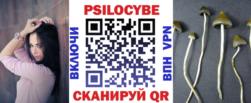 Галлюциногенные грибы прущие грибы  Макарьев 